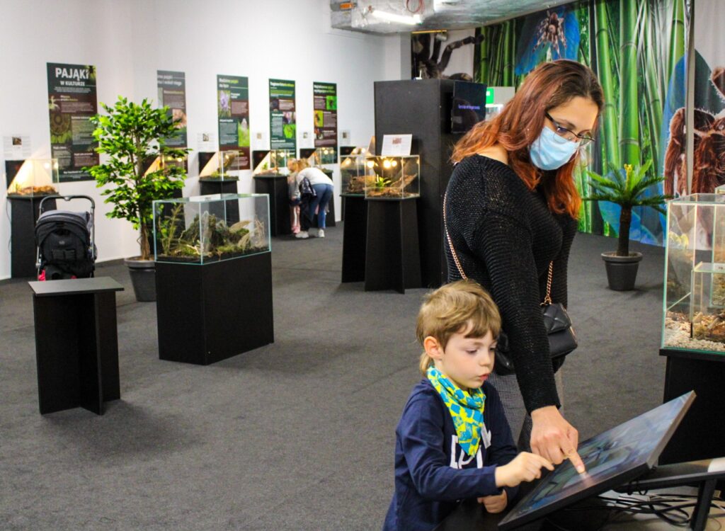 Ludzie na wystawie oglądający pająki w terrariach - wystawapajakow.pl