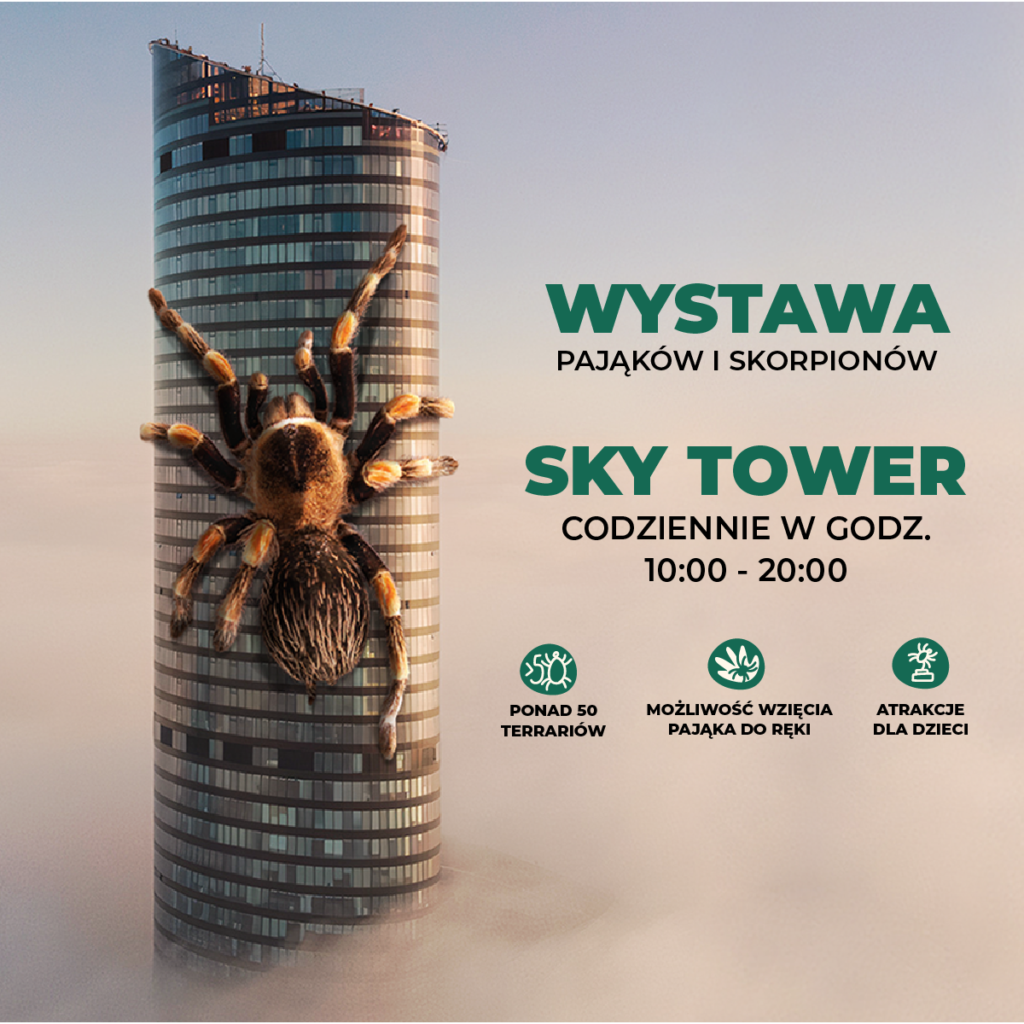 Wystawa Pajaków w Sky Tower - wystawapajakow.pl