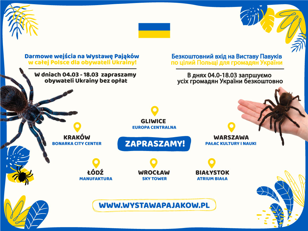 Wystawa Pająków zaproszenie po Ukraińsku - wystawapajakow.pl