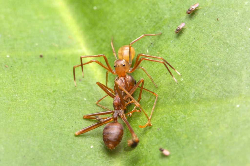 Źródło: https://www.flickr.com/photos/budak/51877271634/