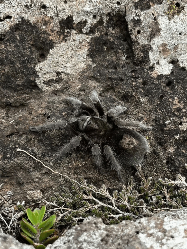 © xxnn, niektóre prawa zastrzeżone (CC-BY-NC)