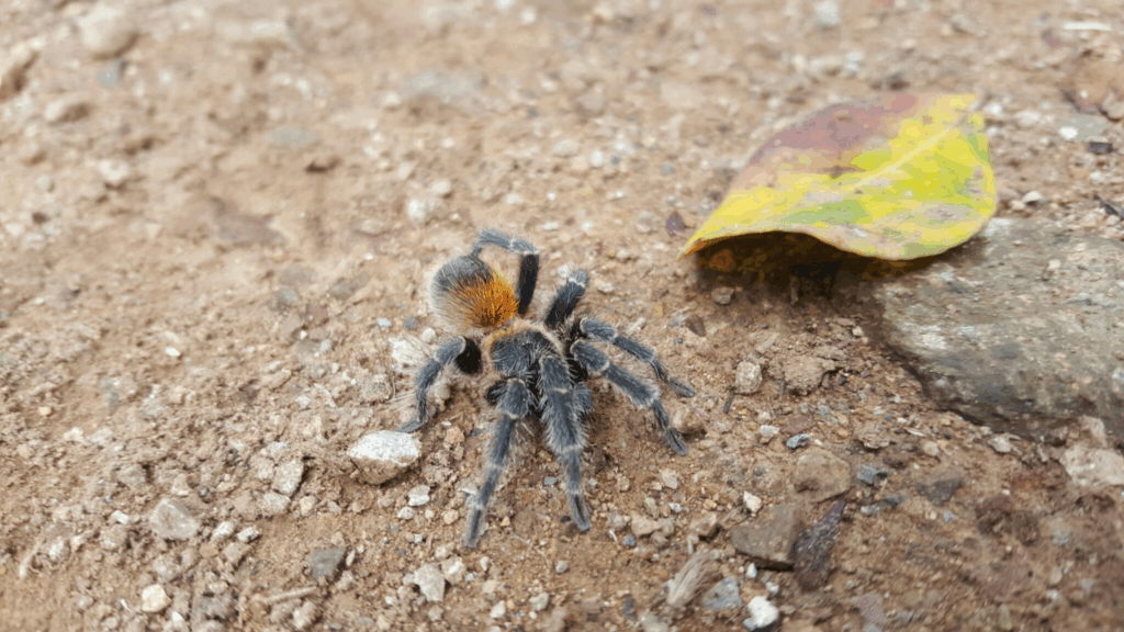 © Alexandra, niektóre prawa zastrzeżone (CC-BY-NC)