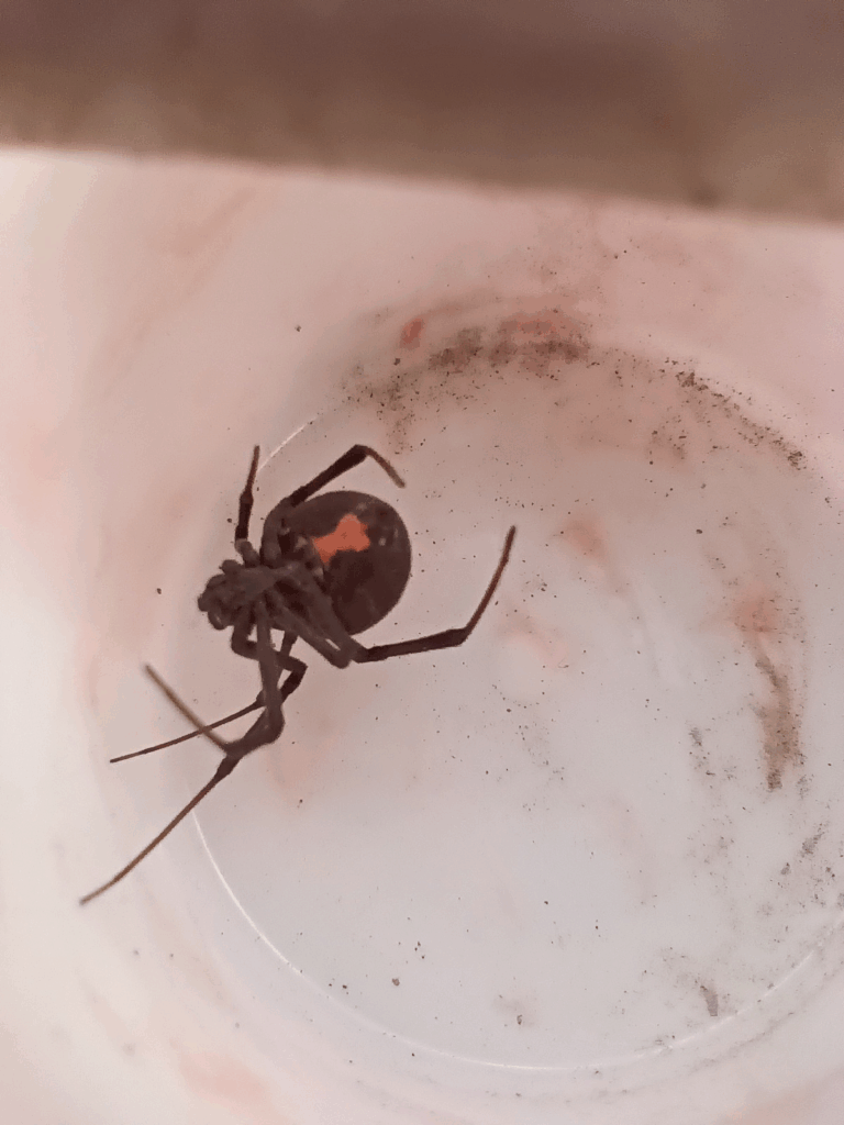 © James Bailey, niektóre prawa zastrzeżone (CC-BY-NC)