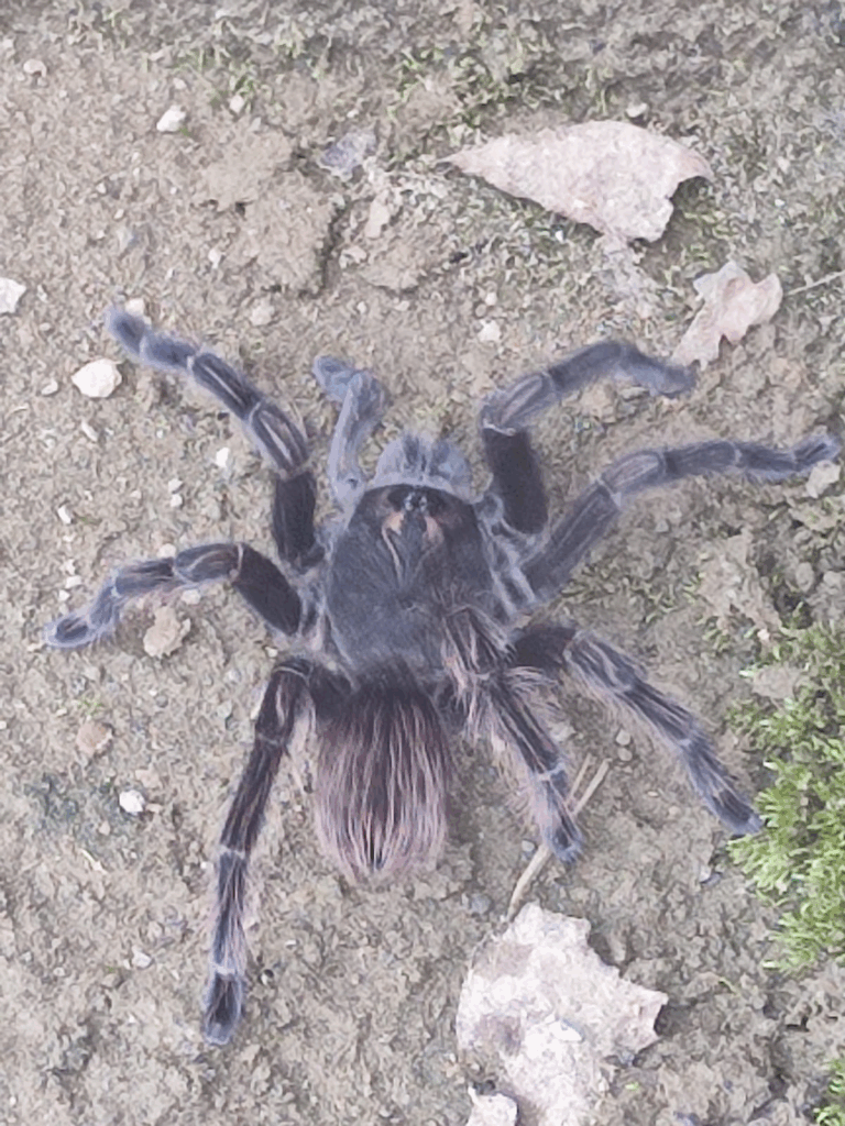 © camilyramirez, niektóre prawa zastrzeżone (CC-BY-NC)