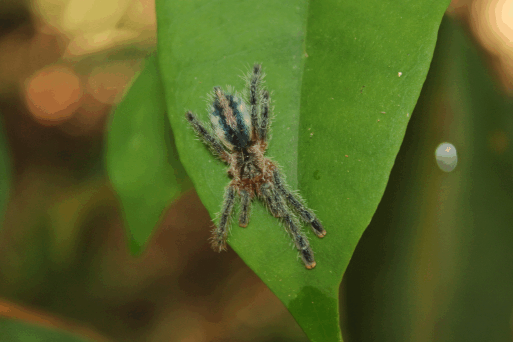 © pedro_rodrigues_, niektóre prawa zastrzeżone (CC-BY-NC)